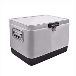 Frigo portatile passivo 29L/50L Mini frigoriferi in acciaio inossidabile con maniglia per il trasporto Completamente isolato in plastica alimentare Id en oferta