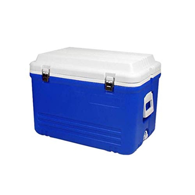 Borsa Termica passiva da 65 Litri con Maniglia per Il Trasporto e Coperchio in plastica Alimentare Completamente isolata, Ideale per Campeggio, Picnic