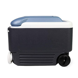Scatola Termica passiva Scatola isolata per Picnic con Ruote e Maniglia per Campeggio, Barbecue, Tailgating e attività all'aperto precio