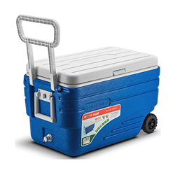 Contenitore Portatile per Bevande con Frigorifero Portatile da 47 Litri características