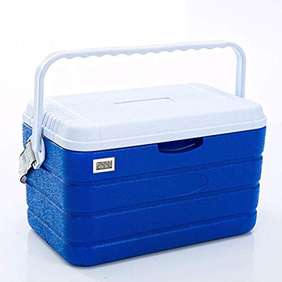 8L 10L 20L Cooler Box, Portatile Beach Cooler con Manici durevoli Ice Cooler, Ottimo Regalo per Golf all'aperto, Campeggio, Picnic, Pesca in Mare (10L