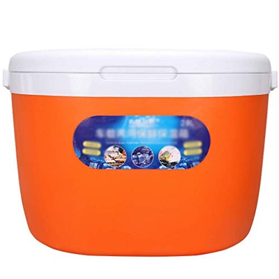 Borsa Termica Grande da 28 Litri - Cibo da Picnic in Spiaggia da Campeggio - 49x38x33 cm - Scatola Termica per Il Pranzo - Arancione