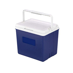 Frigo Box, Frigo Portatile, capacità 10 Litri, Grande Ad Alte Prestazioni, Ghiacciaia per Bevande per Viaggio/Picnic/Sport/Volo/Barbecue características