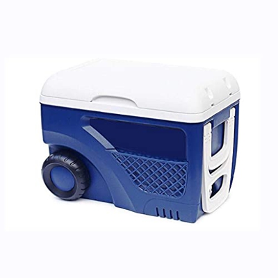 Frigo Portatile passivo Mobile con Ruote da 45 Litri Frigorifero per Alimenti Frigorifero Portatile per Veicoli per Uso Esterno, Picnic, Campeggio, Sp