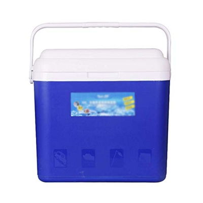 Personal Cooler Box, Small Cool Box per Cibi e Bevande, Robusto, Resta Fresco, Leggero Cooler (33L)