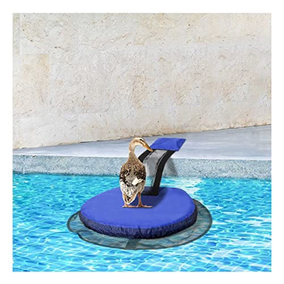 TRUSOVA Rampa di Fuga per Salvataggio Animali per Piscina, Rampa di Salvataggio Fuga per Salvataggio Animali di Piccoli Animali Rane da Nuoto Api Ucce