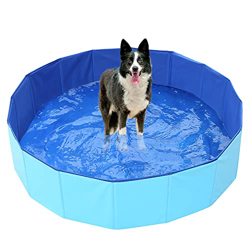 NIUBB Piscina Pieghevole per Cani in PVC Piscina per Animali Domestici Piscina per Giochi All'aperto Vasca Portatile Piscina per Cani Cat (Grün : Blue características