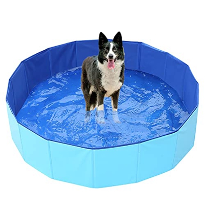 NIUBB Piscina Pieghevole per Cani in PVC Piscina per Animali Domestici Piscina per Giochi All'aperto Vasca Portatile Piscina per Cani Cat (Grün : Blue
