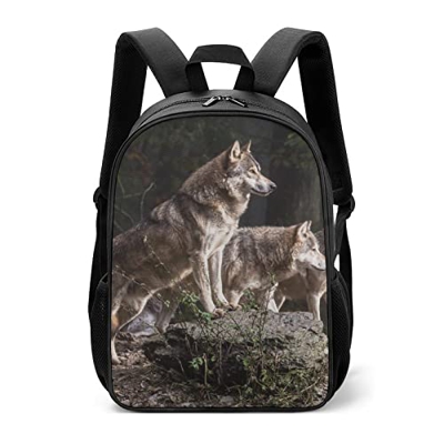 NLSRYBHD Zaino alla moda Animal Cool Wolf Zaino alla moda Gli eleganti zaini stampati sono ideali per la vita di tutti i giorni. (42x30x13cm) Zaino 3D