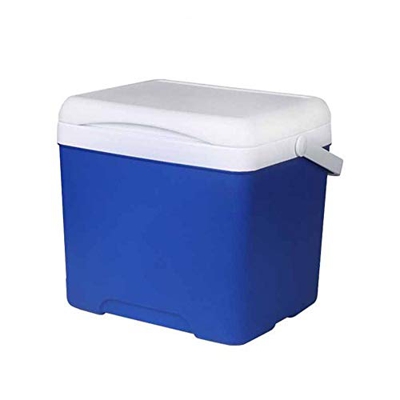 Mini Fridge 5L Car Portable Ice Coolers Camping Cooler Refrigerator Car Incubator Fish Rule Compatible with Fishing Camping BBQ