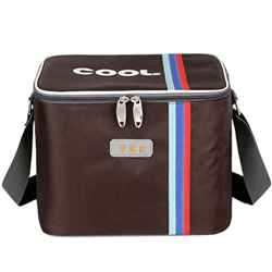 Portable Collapsible Cooler Bag 16-Can Insulated Soft Cooler Large Cooler Bag 10L Lunch Coolers for Camping Picnic Beach Organizers (Color : Black) características