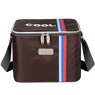 Portable Collapsible Cooler Bag 16-Can Insulated Soft Cooler Large Cooler Bag 10L Lunch Coolers for Camping Picnic Beach Organizers (Color : Black)