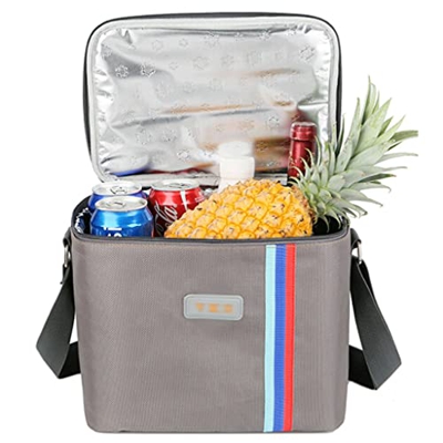 Portable Collapsible Cooler Bag 16-Can Insulated Soft Cooler Large Cooler Bag 10L Lunch Coolers for Camping Picnic Beach Organizers (Color : Gray)