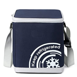 Portable Cooler Bag 16-Can Insulated Soft Cooler Collapsible Cooler Bag 10L Lunch Coolers for Picnic Beach Work Trip Organizers (Color : 10l) en oferta