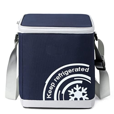 Portable Cooler Bag 16-Can Insulated Soft Cooler Collapsible Cooler Bag 10L Lunch Coolers for Picnic Beach Work Trip Organizers (Color : 10l)