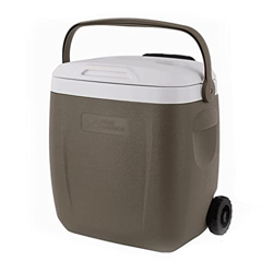 Portable 28QT Ice Chest And Cooler for Camping Hiking Picnic BBQs Fishing Traveling Tailgating Outdoor Activities Rotomolded Cooler Organizers (Size : en oferta