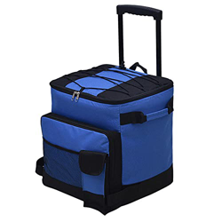 Cooler Bag Insulated Shopping Trolley on Wheels Portable Foldable Reusable Leakproof Oxford Cloth Environmental Protection Waterproof PEVA for Picnic  precio