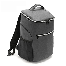 Cooler Bags Large 20L Insulated Picnic Bag Cool Bag Waterproof PEVA with Soft Handle Multifunctional Foldable for Work Camping Beach Family Outdoor Ac características