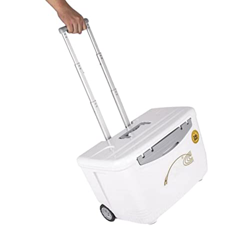 GYAM Congelatore più Fresco da 24 Litri, Carrello Refrigerato Portatile Frigorifero da Esterno, Assicella Pieghevole, Incubatrice Multifunzionale per  precio