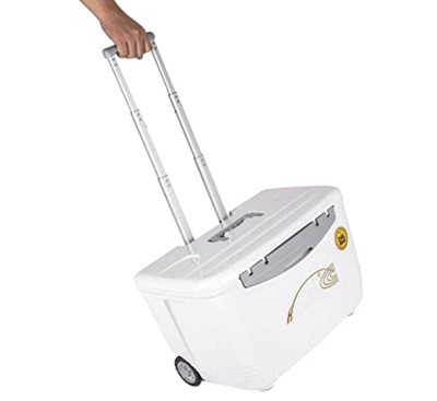 GYAM Congelatore più Fresco da 24 Litri, Carrello Refrigerato Portatile Frigorifero da Esterno, Assicella Pieghevole, Incubatrice Multifunzionale per 
