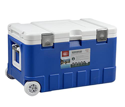GYAM Congelatore da 75 Litri, Frigorifero per Bevande All'aperto Dispositivo di Raffreddamento su Ruote, Trasportatore Portatile per Alimenti con 2 Sc precio