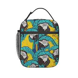 Pappagalli Picnic Contenitore Pranzo Impermeabile Portatile Borsa Frigo Portatile Borsa Termica Borsa Refrigerata Per Campeggio, Spiaggia 11X21X26Cm características