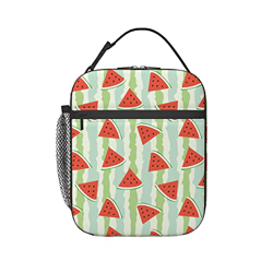 Anguria Borsa Refrigerata Spazioso Portatile Borsa Frigo Riutilizzabile Sacchetti Pranzo Borsa Porta Pranzo Per All'Aperto, Campeggio 11X21X26Cm precio