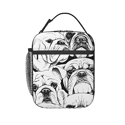 Bulldog Portatile Borsa Frigo Impermeabile Pranzo Al Sacco Isolato Sacchetto Premium Sacchetti Pranzo Borsa Porta Pranzo Per Campeggio, Pesca 11X21X26