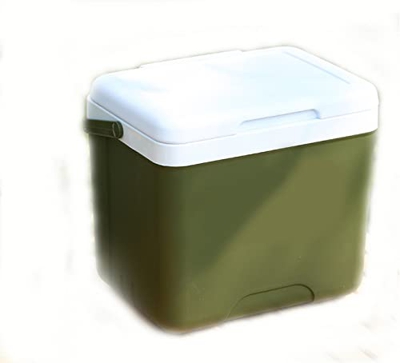 Mini congelatore portatile per campeggio, viaggi su strada, viaggi, barca, cura della pelle, esterno (incubatrice verde militare da 15 litri)