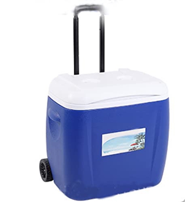 Frigorifero da viaggio da campeggio all'aperto per la conservazione degli alimenti per la pesca da viaggio, raffreddamento e riscaldamento 38L, 60L, 8