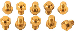 WJJ in Lega Leggera di Alluminio 10pcs Peso Raccordi Antiscivolo Chiodi for Pedali della Bicicletta di Mountain Highway Fisso Marcia (Golden) en oferta