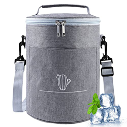 Psfghvz Borsa Termica Morbida Zaino Termico Isolato Leggero Impermeabile Zaino Termico per Uomini Donne a Pranzo Lavoro Picnic Spiaggia Campeggio Escu en oferta