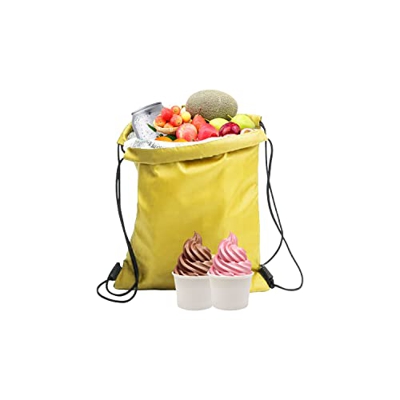 1 Confezione di sacchetti isolati per il pranzo, la scuola, la spiaggia, il pilastro (27 * 33 cm)
