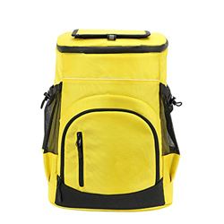 NXYJD Grande Sacchetto Frigorifero in Poliestere 33L 36 lattine Birra Cooler Zaino Frigorifero Portatile Picnic Bag Sacchetto termale (Color : B, Size precio