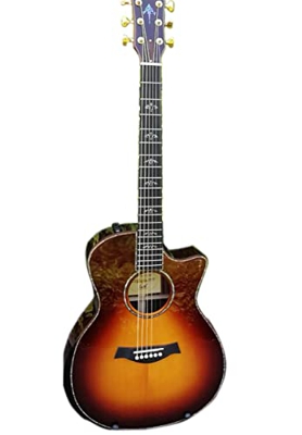 Sunburst Chaylor 914 Chitarra Acustica, Ebano Contagno Abalone Inlays Chataway Body Acoustic AMINIY (Color : Guitar A11 Case, Size : 41 Inches)