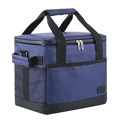 Borsa di raffreddamento isolata, sacca di raffreddamento isolato Portante per picnic Punte Pranzo Punti di stoccaggio da campeggio Contenitore 10L