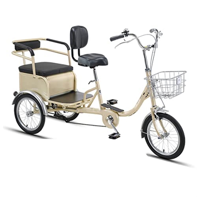 Pedal Rickshaw, Old Pedal Small Bicycle, Adult Cargo Scooter (Color : Gold)
