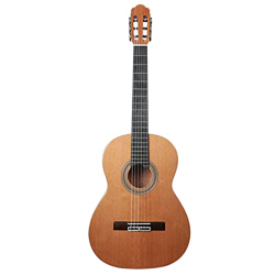 SheIRin Chitarra Acustica Acustica a grandezza Naturale in Pino Coreano per Principianti Studenti Bambini con Kit avanzato per destrorsi, 39 Pollici precio