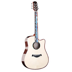 SheIRin Chitarra Classica in Abete Chitarra Acustica Full Size con Corde in Acciaio 41 Pollici per Principianti con Custodia, accordatore, Cinturino,  características