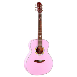 SheIRin Kit Pacchetto Chitarra Acustica per Principianti da 40 Pollici con Borsa per Pickup Tuner Capo Strap Mini Jumbo per Adulti, Rosa en oferta