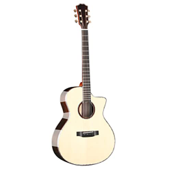 SheIRin Prodotti 40 in Kit di Base per Chitarra Acustica per Principianti con Custodia, accordatore Digitale, Plettri, Corde, capotasto, Stoffa, Cintu en oferta