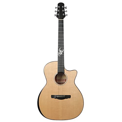 SheIRin Chitarra Acustica per Principianti Adulti Cutaway 40 Pollici Acustica Guitarra Bundle Kit con Borsa Tuner Capo String Strap