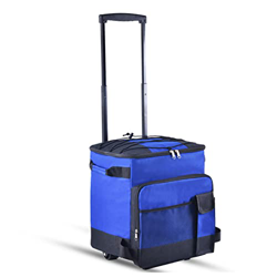 WYEUQ Borsa termica per pulegge da 43 litri, pieghevole, portatile, per campeggio, barbecue, da asporto, pesca, attività all'aria aperta, colore: blu características