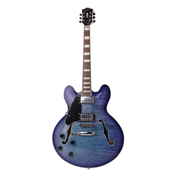 AURH Jazz Hollow Hollow F Hole Guitars Guitars Acoustic Steel Guitars Guitars Guitars Guitars XIXINYA (Color : 1) características