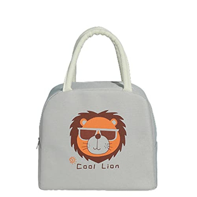 VIONNPPT Borsa per il pranzo, borsa frigo, picnic scuola pranzo pacchetto sacchetto isolante, impermeabile, adatto per il trasporto alimentare all'ape