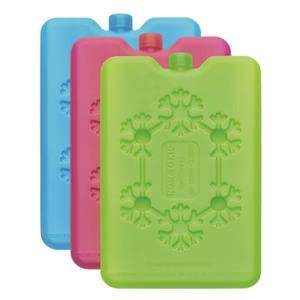 4 x Tavolette Ghiaccio Extra Slim 1000 ml Mattonelle ghiaccioli Piatte 31,5 x 25,5 x 1,5 cm Borsa frigo Termica Frezzerino Icepack refrigerante Mare, 