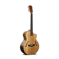 SheIRin Pacchetto Chitarra Acustica Cutaway per Principianti da 40 Pollici, Kit di Base di Dimensioni Standard con Borsa da Concerto, Corde, Cinturino en oferta