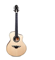 AURH 41 Pollici C5F. Chitarra Acustica, Top Solid Sitica Abete Rosso, Tastiera Ebano, Fianchi in Mogano Solido e Schienale, XIXINYA (Size : 41 Inches) precio