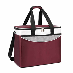 36L Cooler Bag Car Ice Pack Picnic Large Cooler Bags 3 Colors Insulation Package (Color : B) (C) en oferta