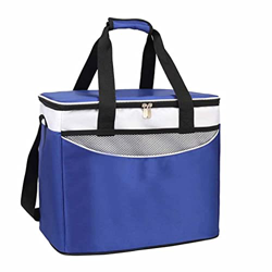 36L Cooler Bag Car Ice Pack Picnic Large Cooler Bags 3 Colors Insulation Package (Color : B) (A) en oferta